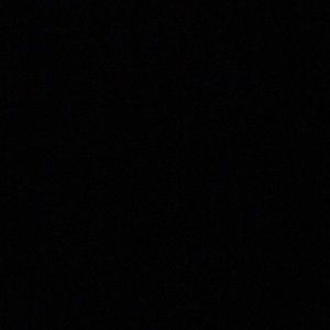 Meet your Posher, Dylan